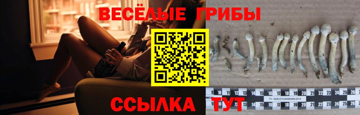 продажа наркотиков  Галлюциногенные грибы Magic Shrooms  Галлюциногенные грибы Cubensis  Вход с VPN  Кохма 